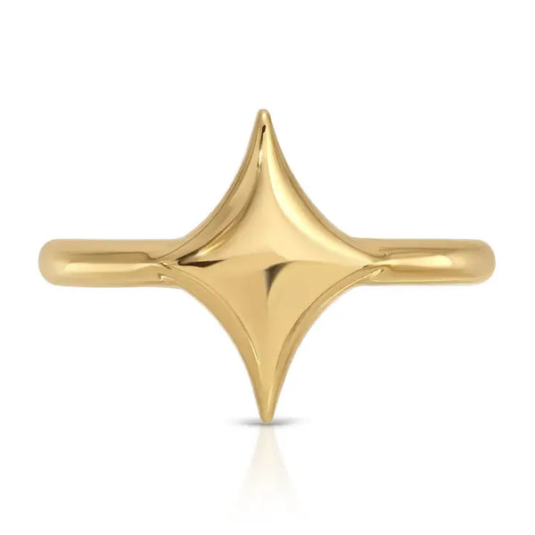 Elizabeth Stone Jewelry Lustra Puffy Start Ring