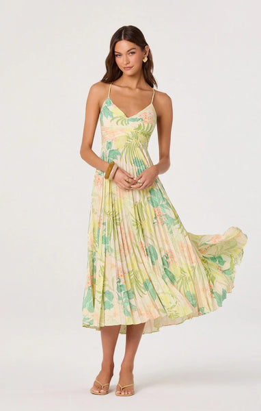 Astr Blyth Dress