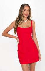 Show Me Your Mumu Emery Mini Dress